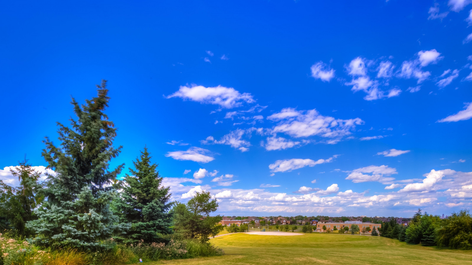 Central Erin MIlls