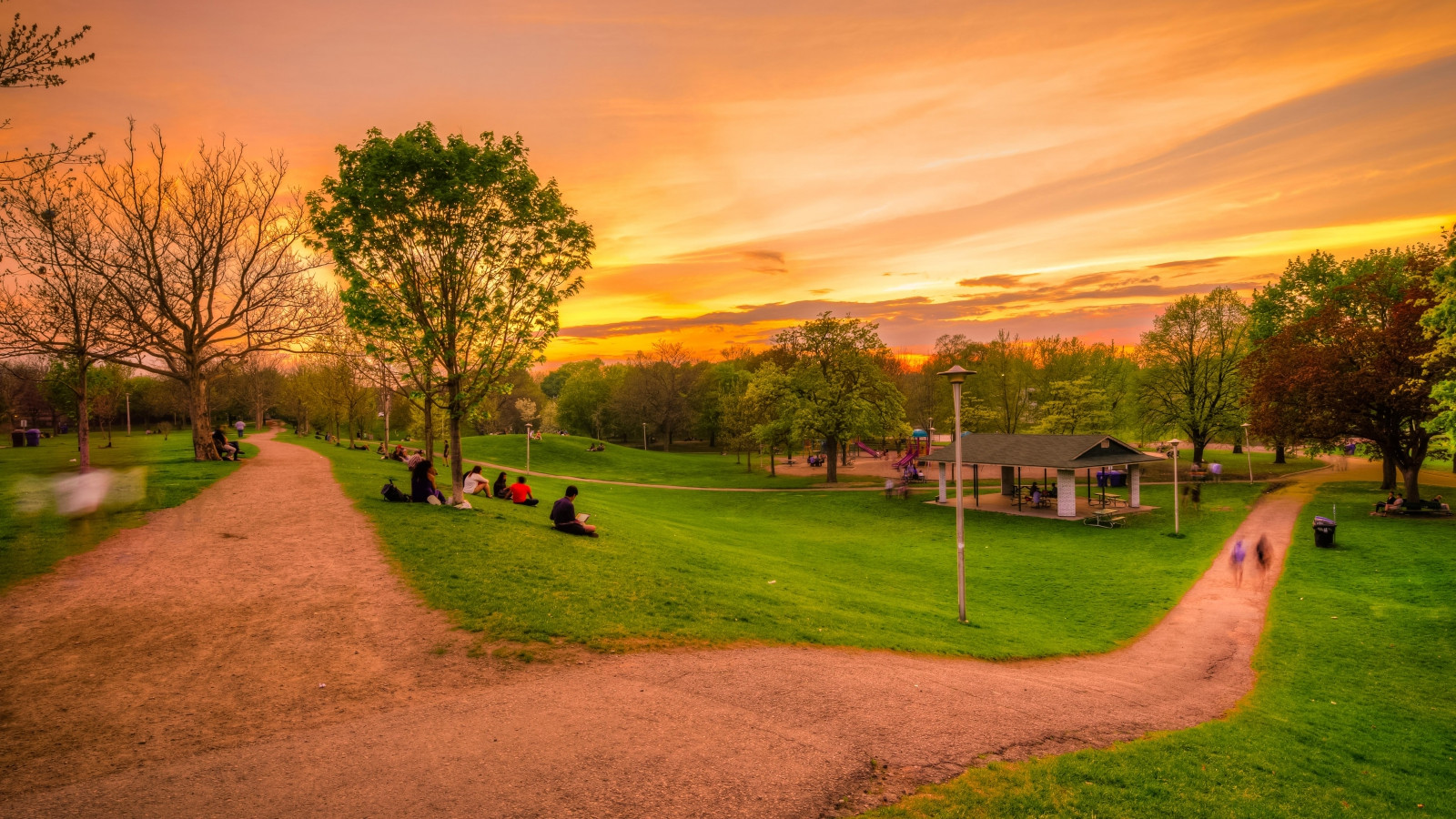 Homes For Rent in Christie Pits Property.ca