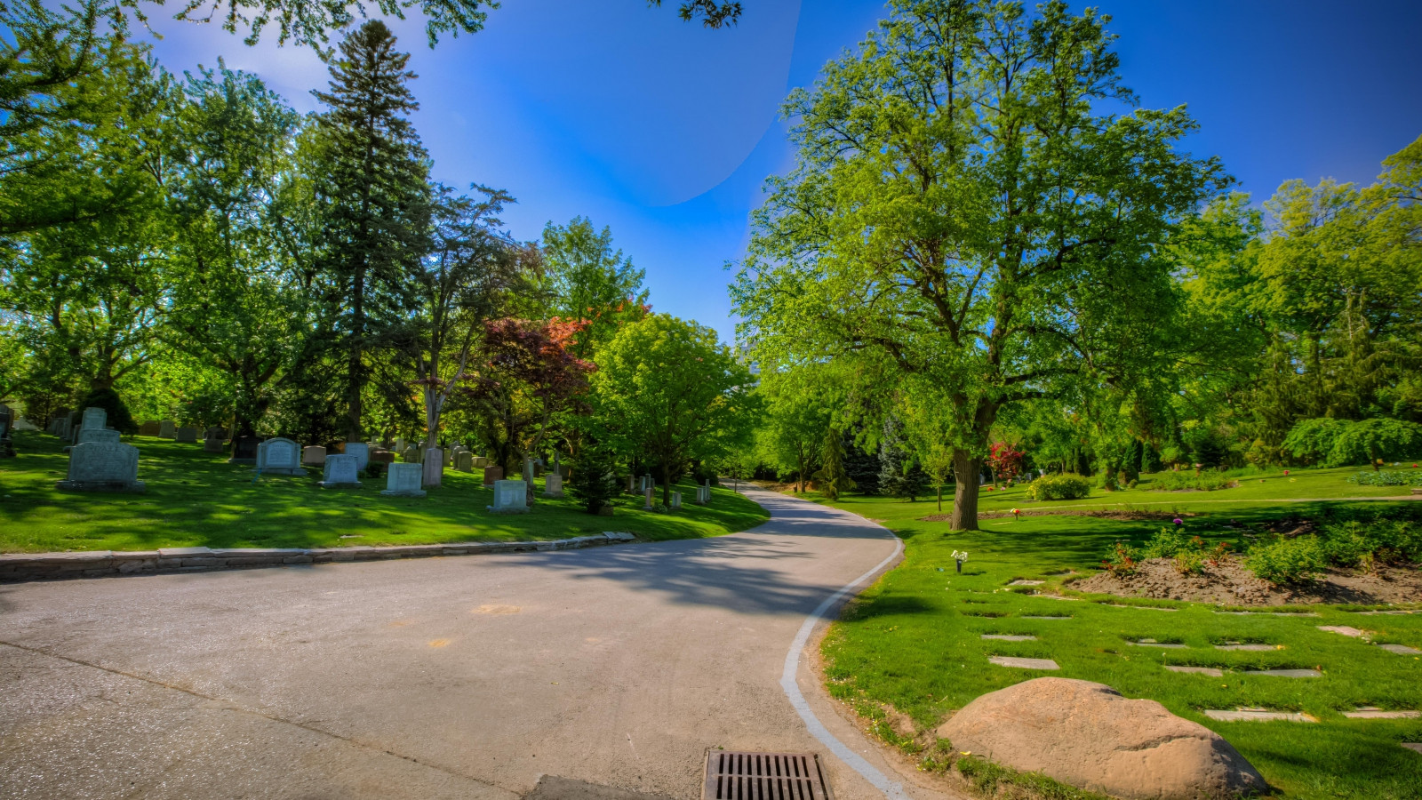 Davisville Village