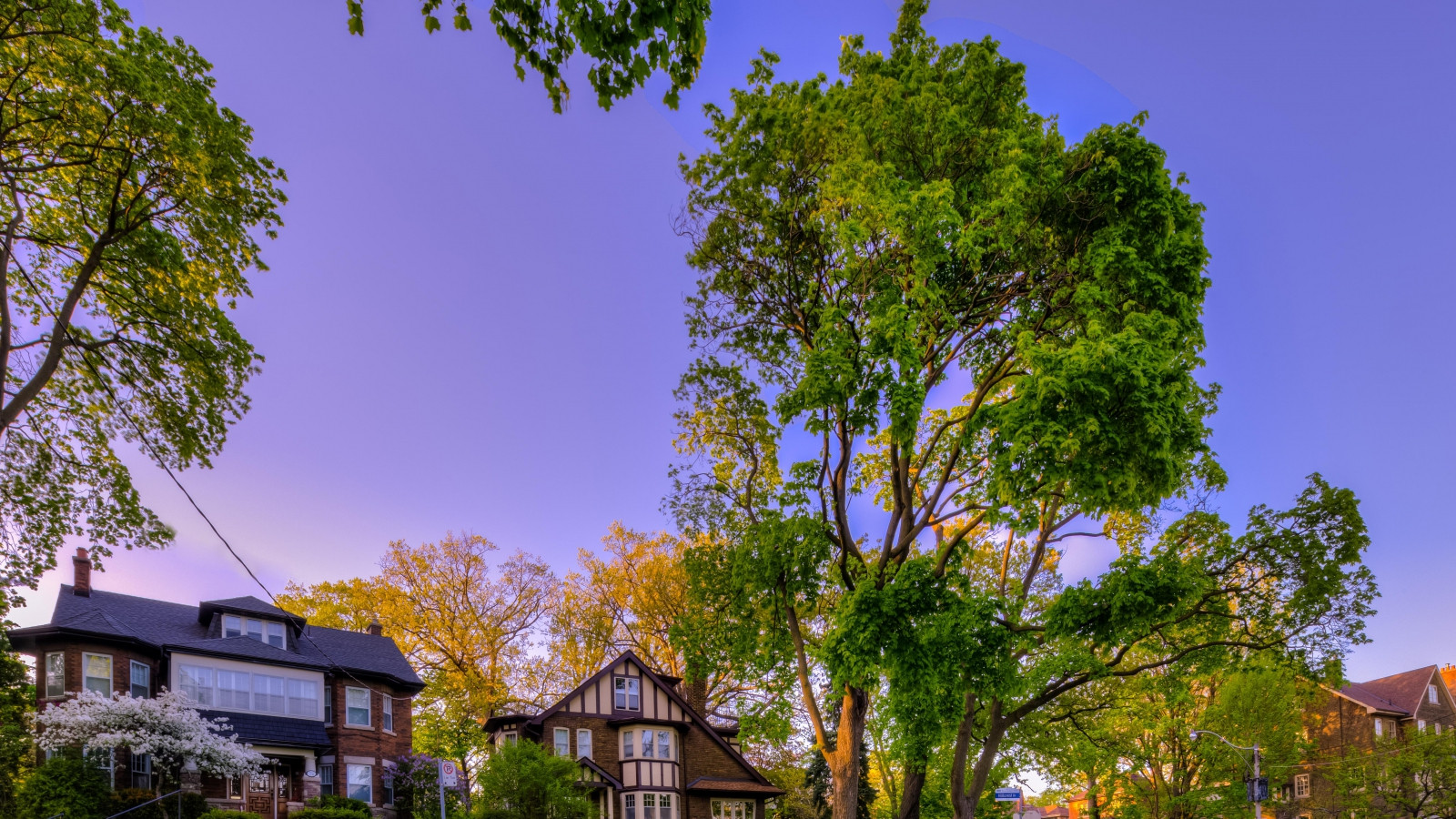 Hillcrest | Bracondale Hill