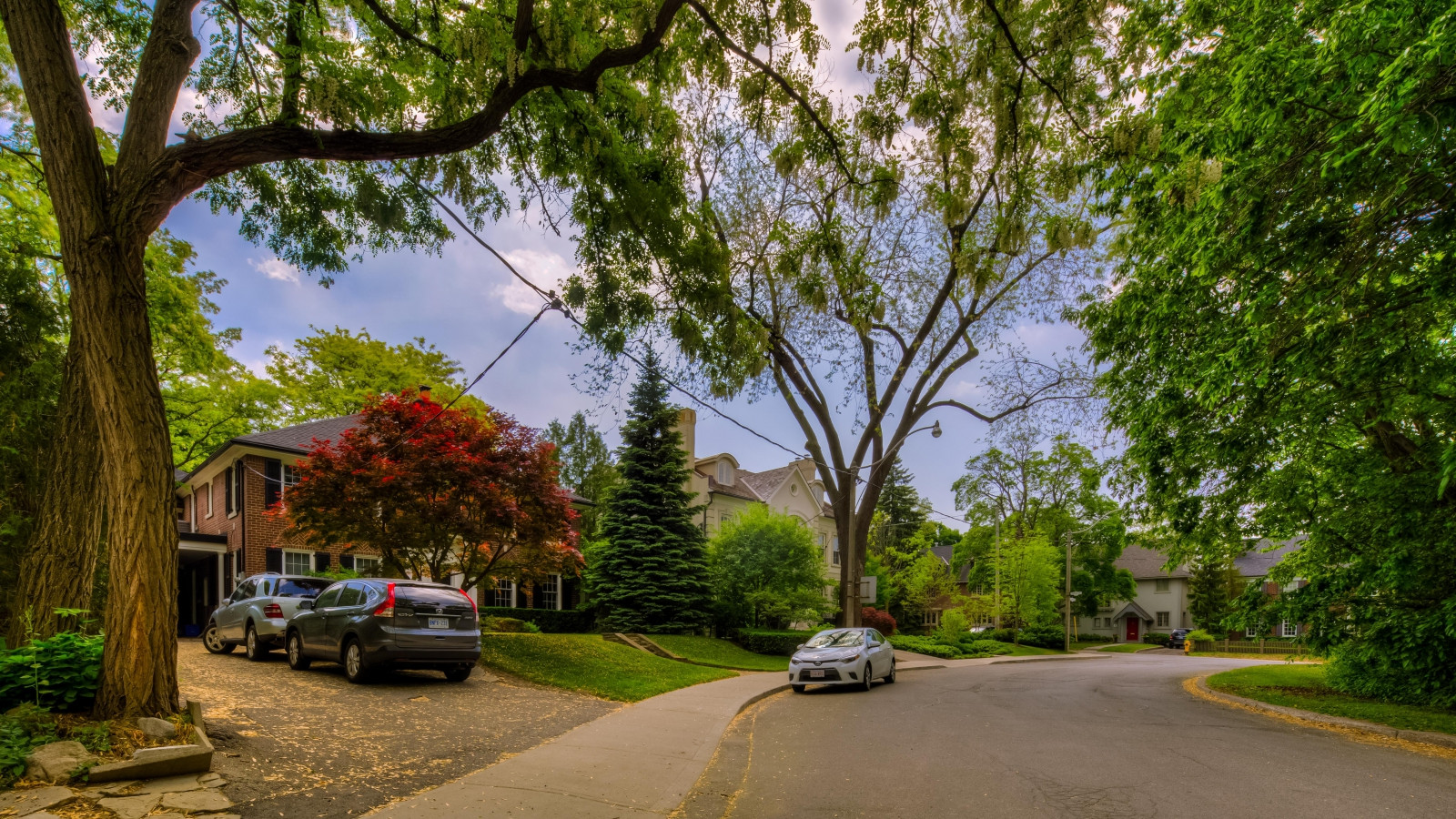 Wanless Park