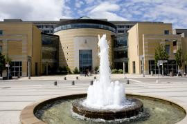 York University Heights